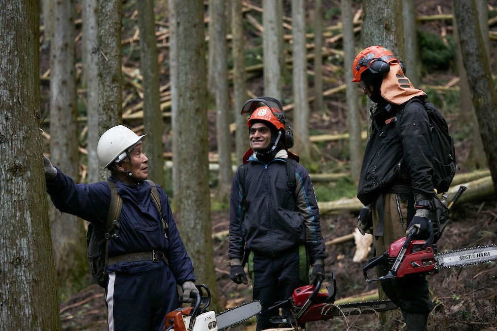 個性を活かし、チームで挑む林業の現場