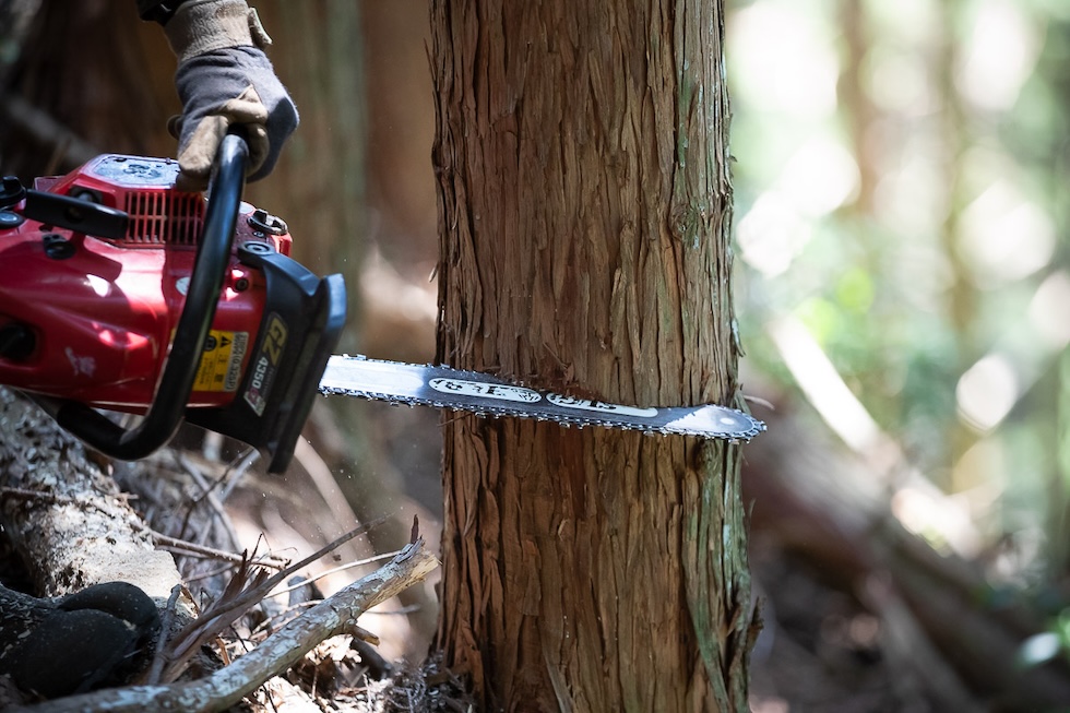 資格取得を後押しする充実のサポート体制