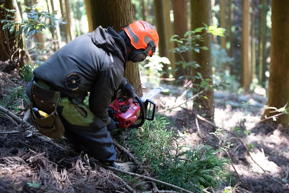 自然の中で働くという選択肢
