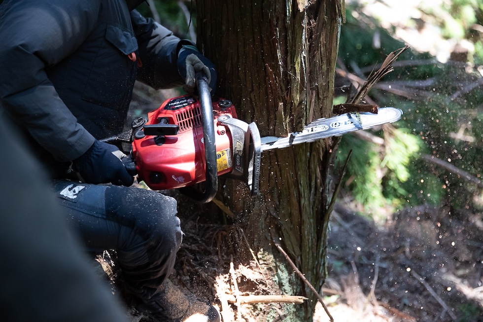 自然の力を活かし、持続可能な林業を実現