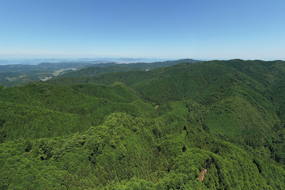 地域に根ざし、共に未来の森林を育てる