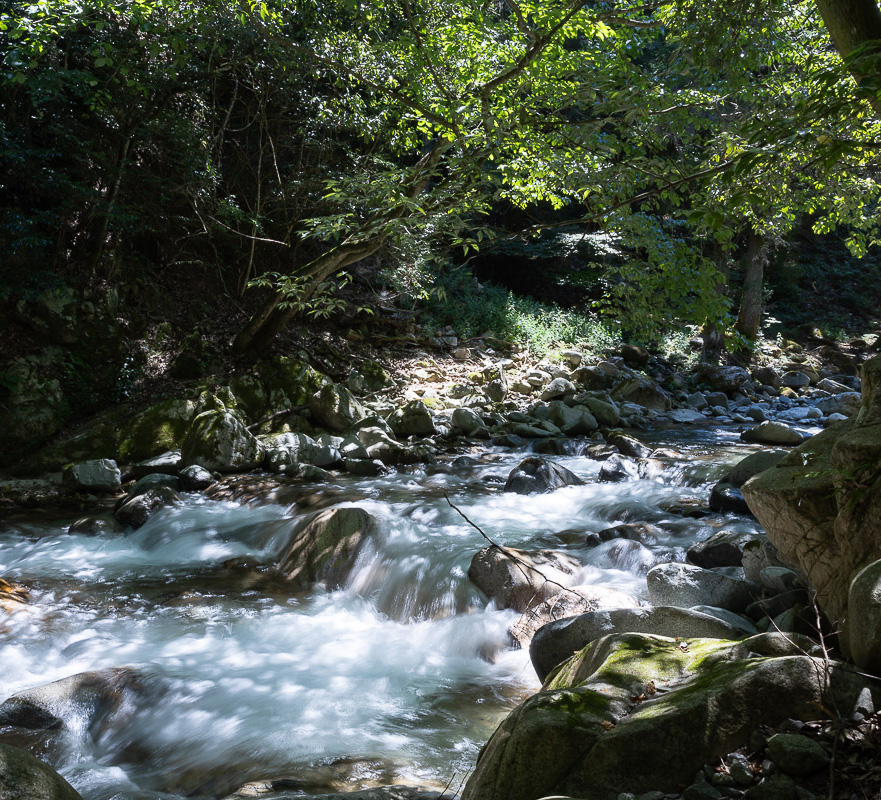 森と人をつなぎ、地域の未来を育てるために